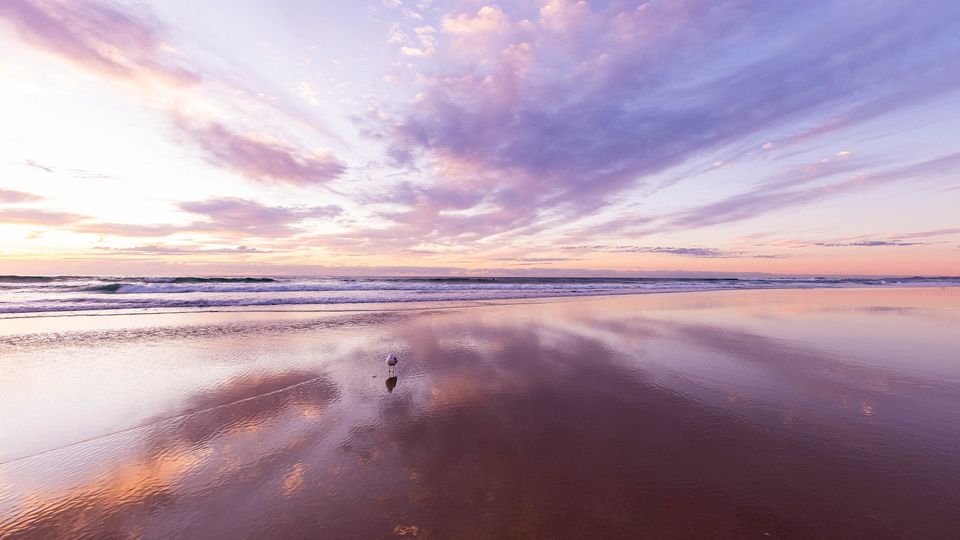 a picture of a seashore in the morning with a small seagull standing on the beach